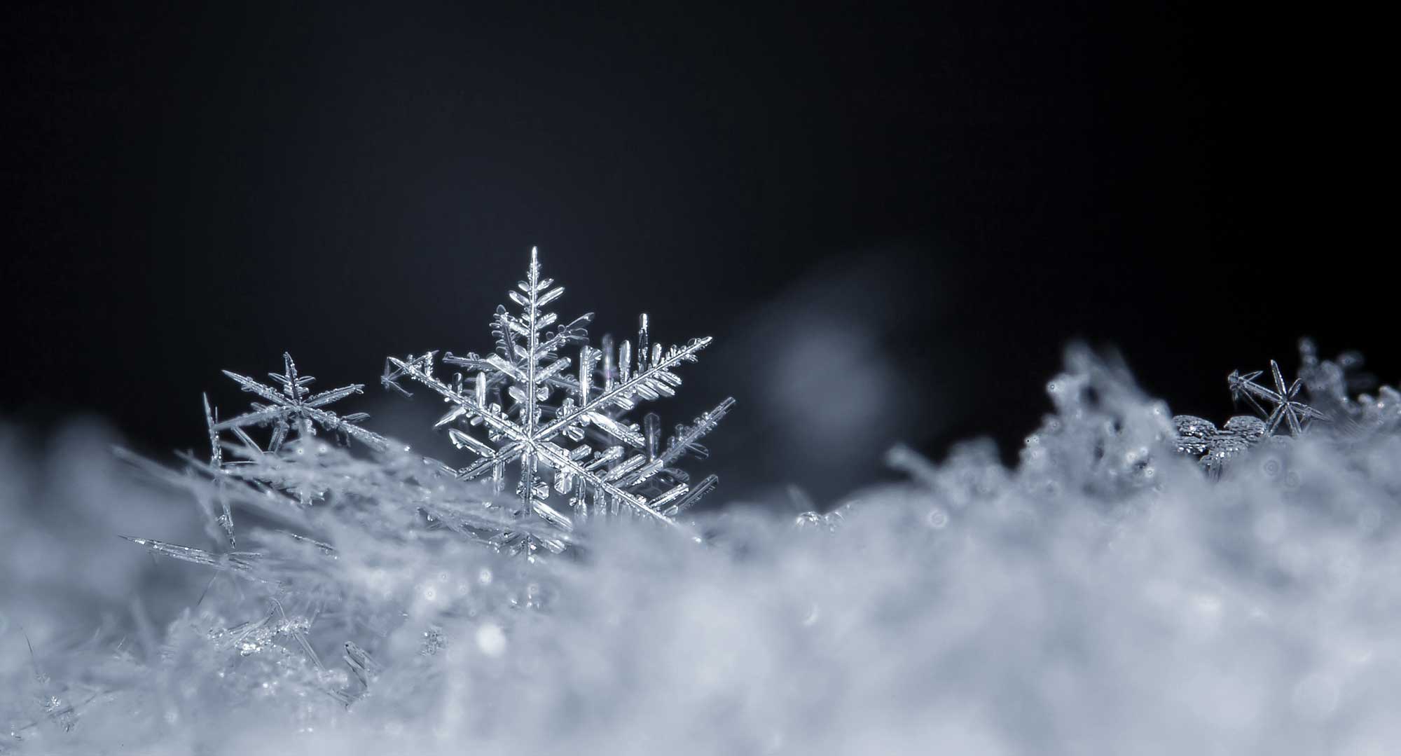 snow crystals