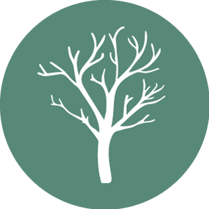 tree icon